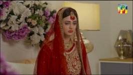 Meesni - Episode 68 - 28th April 2023